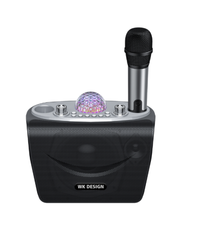 Portable Karaoke Speaker – WEKOME D19 Mini KTV Bluetooth