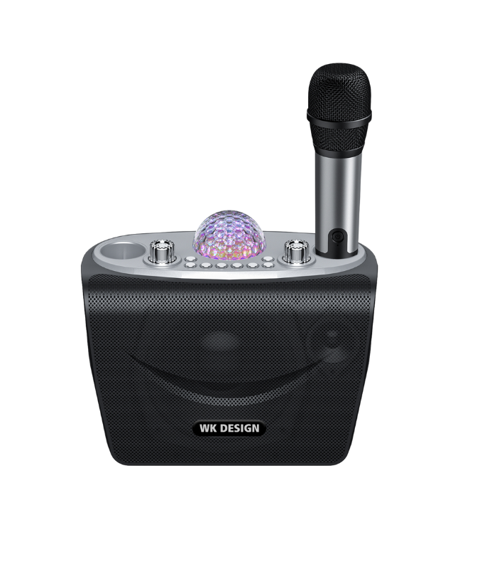 Portable Karaoke Speaker – WEKOME D19 Mini KTV Bluetooth